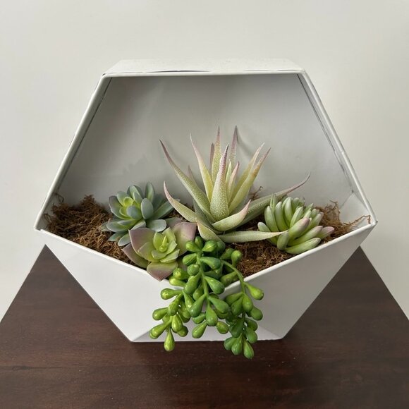 Faux succulents in wall planter - Picture 1 of 5